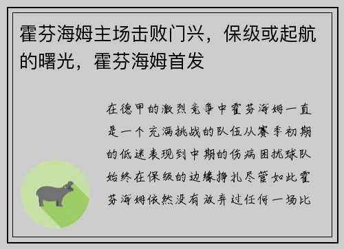 霍芬海姆主场击败门兴，保级或起航的曙光，霍芬海姆首发